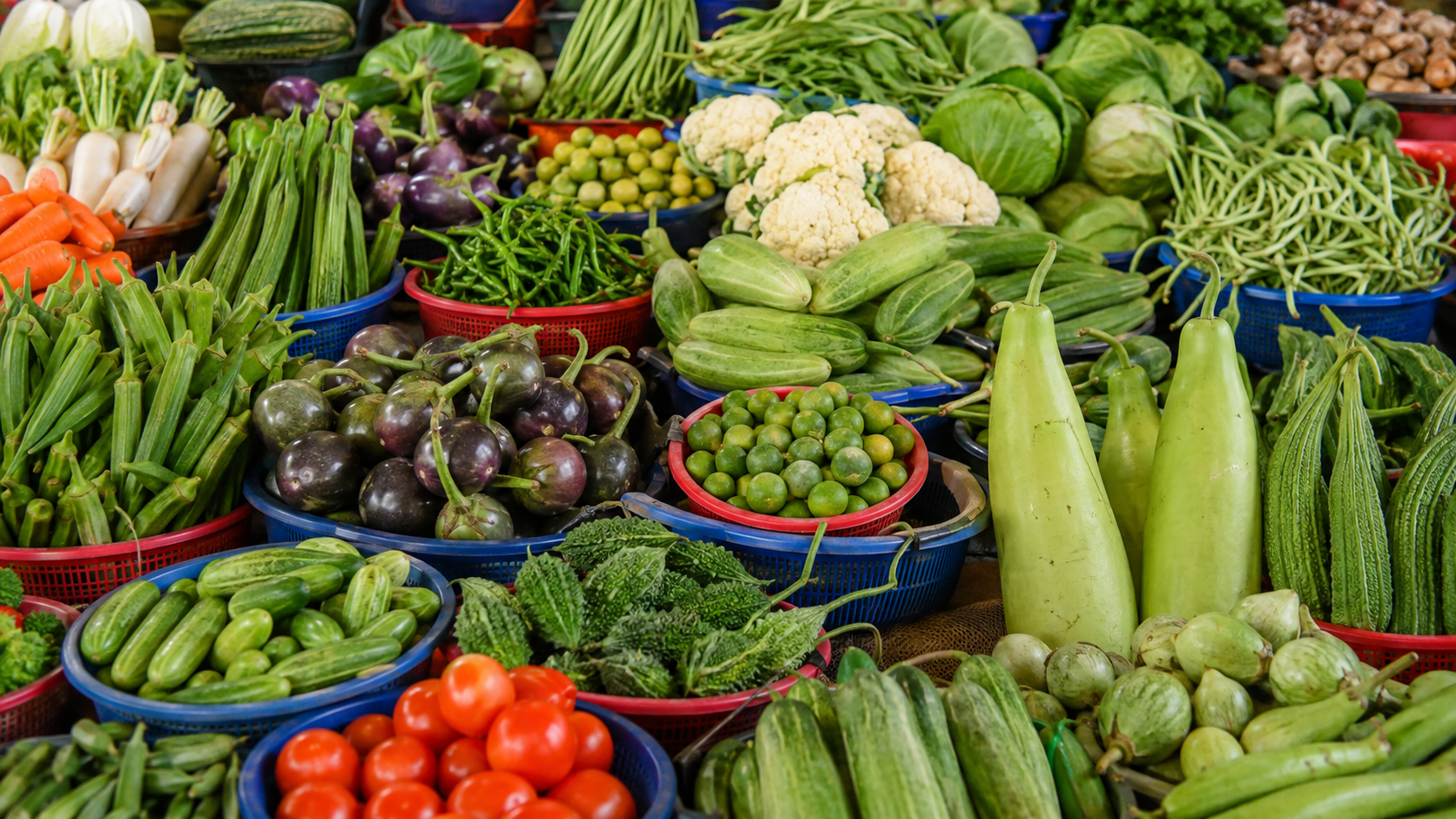 Agro and food gallery image 3