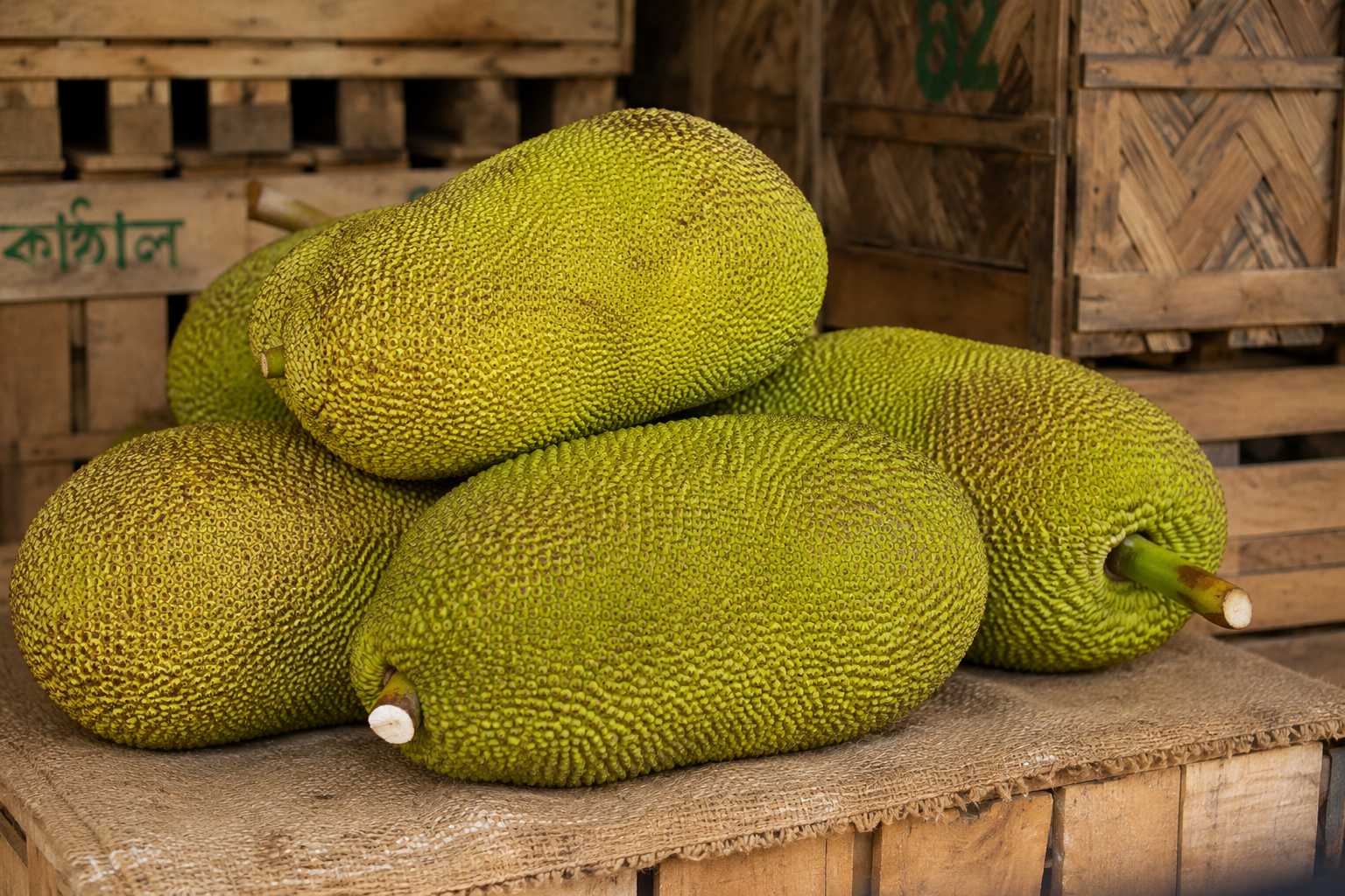 Agro and food gallery image 6