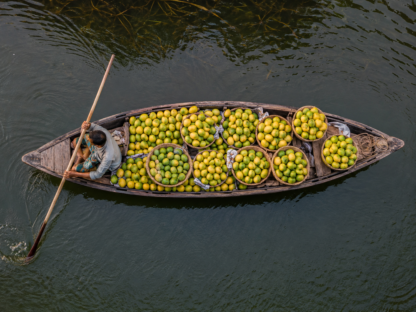 Agro and food gallery image 7